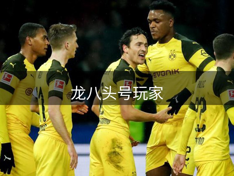 龙八·(头号玩家)唯一官方网站